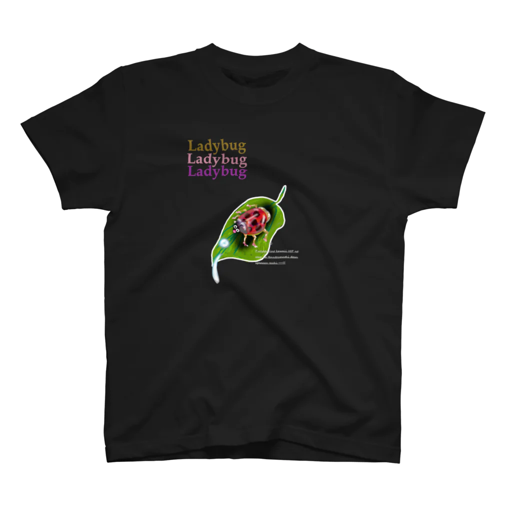 uwotomoの【 Laddybug 】 スタンダードTシャツ