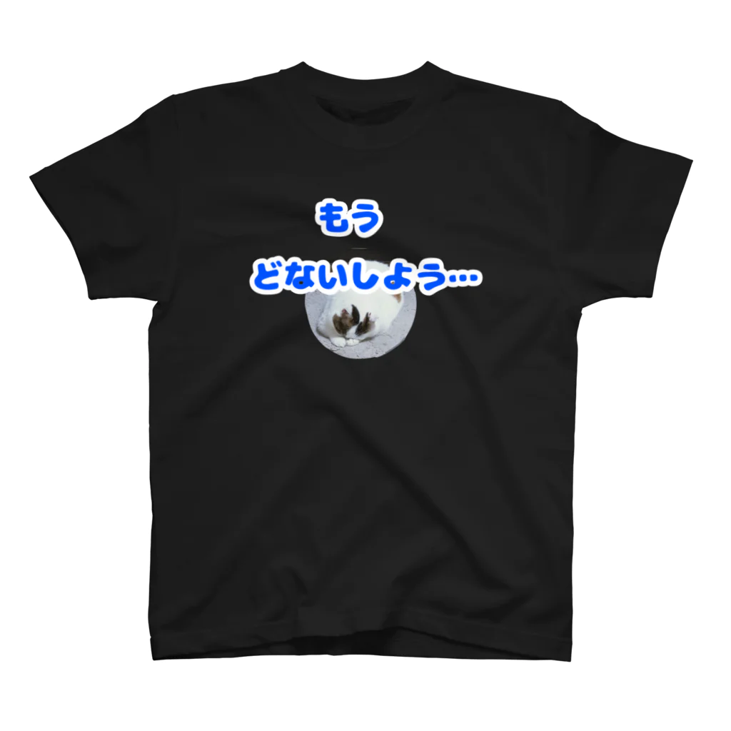 Takafumi  Yamadaのもう、どないしよう スタンダードTシャツ