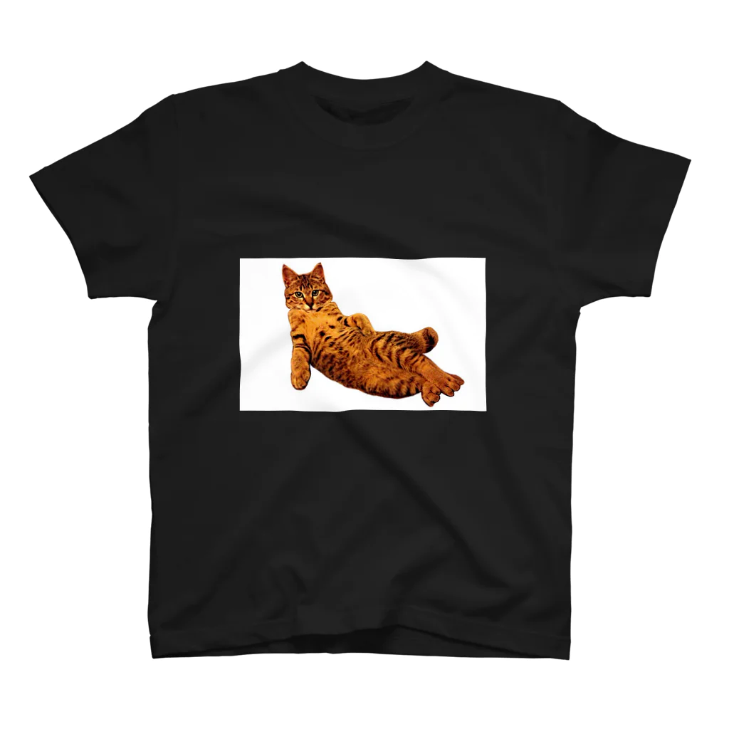 Elegant CatのElegant Cat ③ スタンダードTシャツ