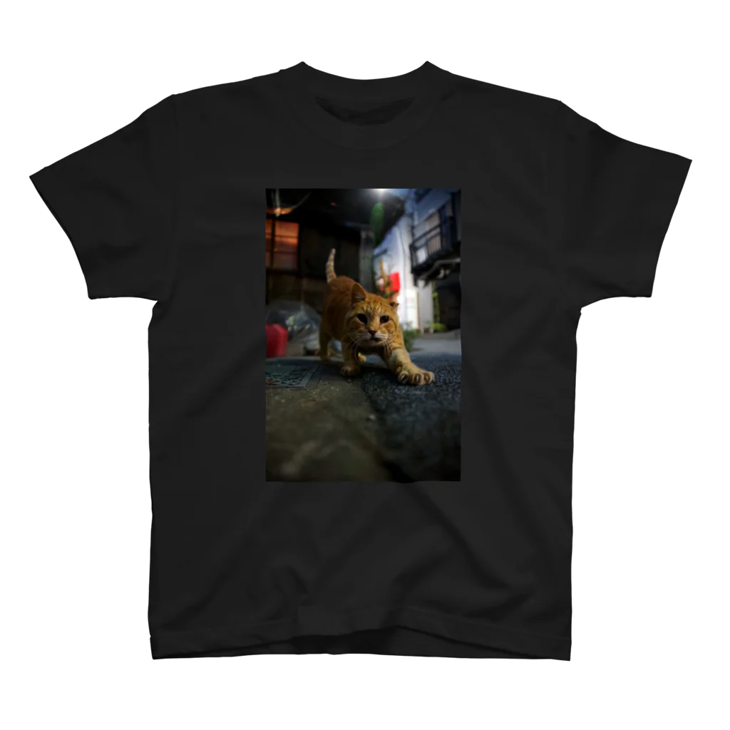 シッポ追いの猫写真店のInto the night スタンダードTシャツ