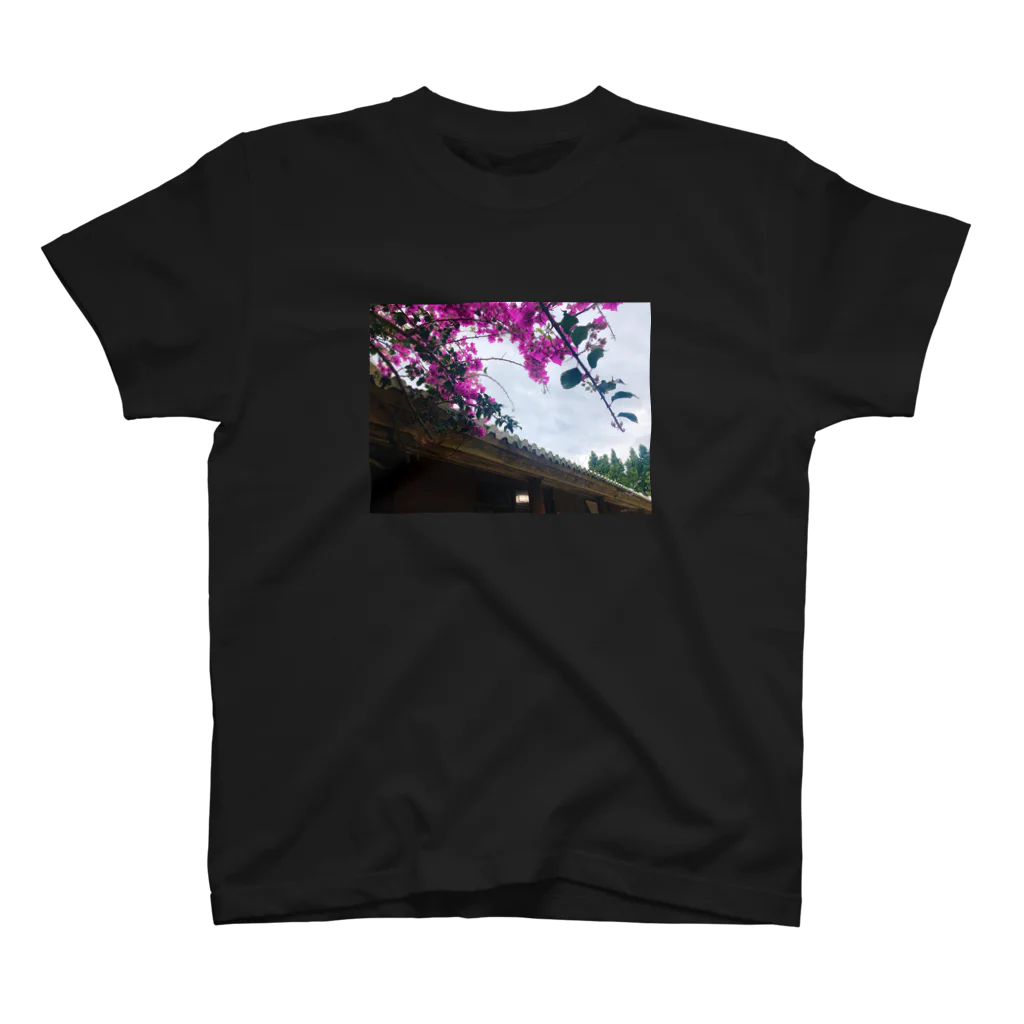 natadecocoのブーゲンビリアの花が咲いた Regular Fit T-Shirt