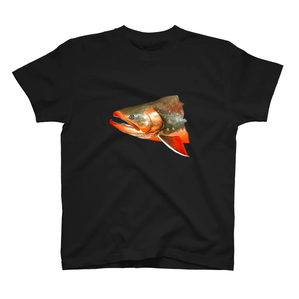 Ne56のARCTIC CHAR スタンダードTシャツ