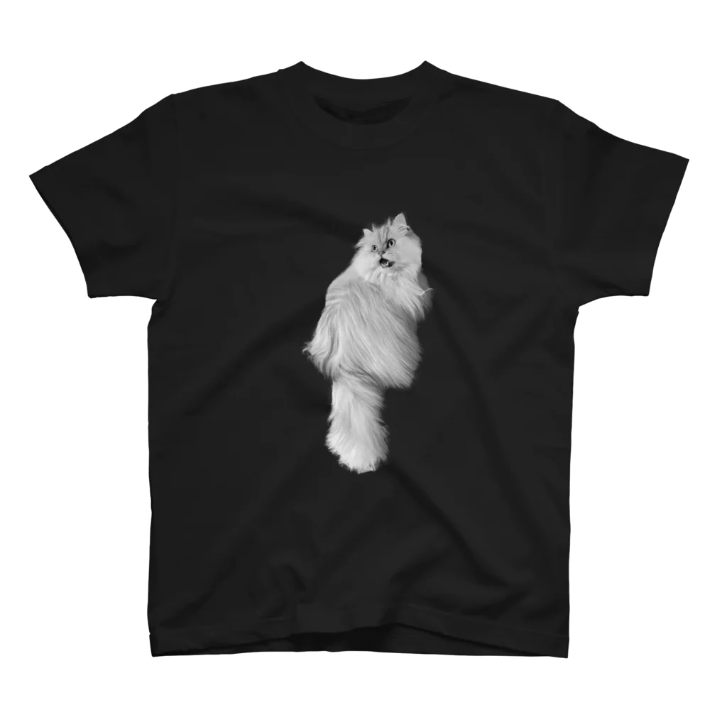 大変かわいらしい猫のグッズ屋さんの猫に豆鉄砲 スタンダードTシャツ