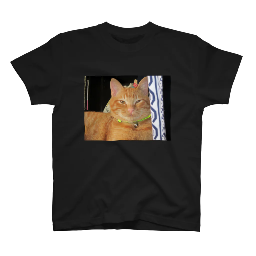 猫充商店の痩せねば　はく スタンダードTシャツ