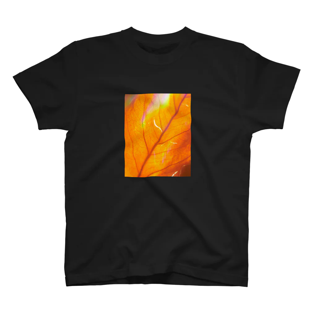 Hide Watanabeの leaf00 スタンダードTシャツ