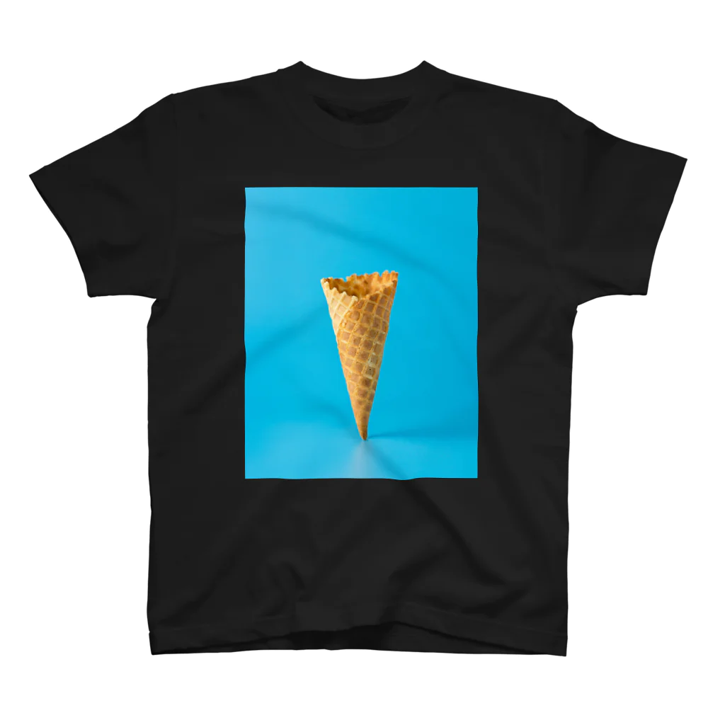 public domainの消えたアイス Regular Fit T-Shirt