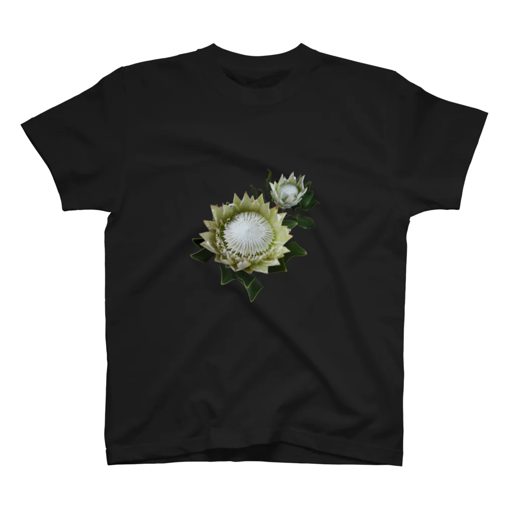 flower & Plants EdenのWild Flower キングプロテア Regular Fit T-Shirt