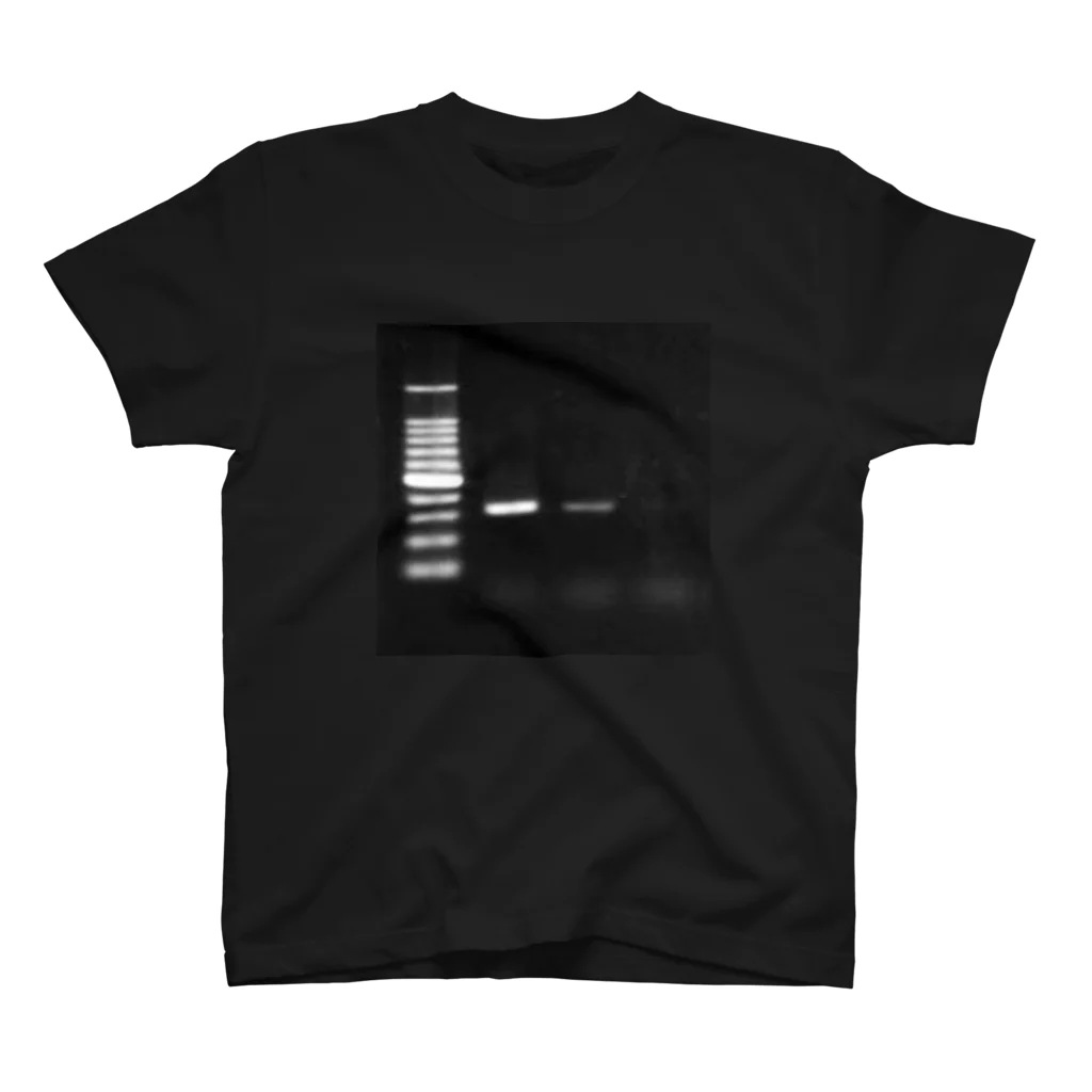 あにまきな工房の泳動はええど / Electrophoresis is good. スタンダードTシャツ