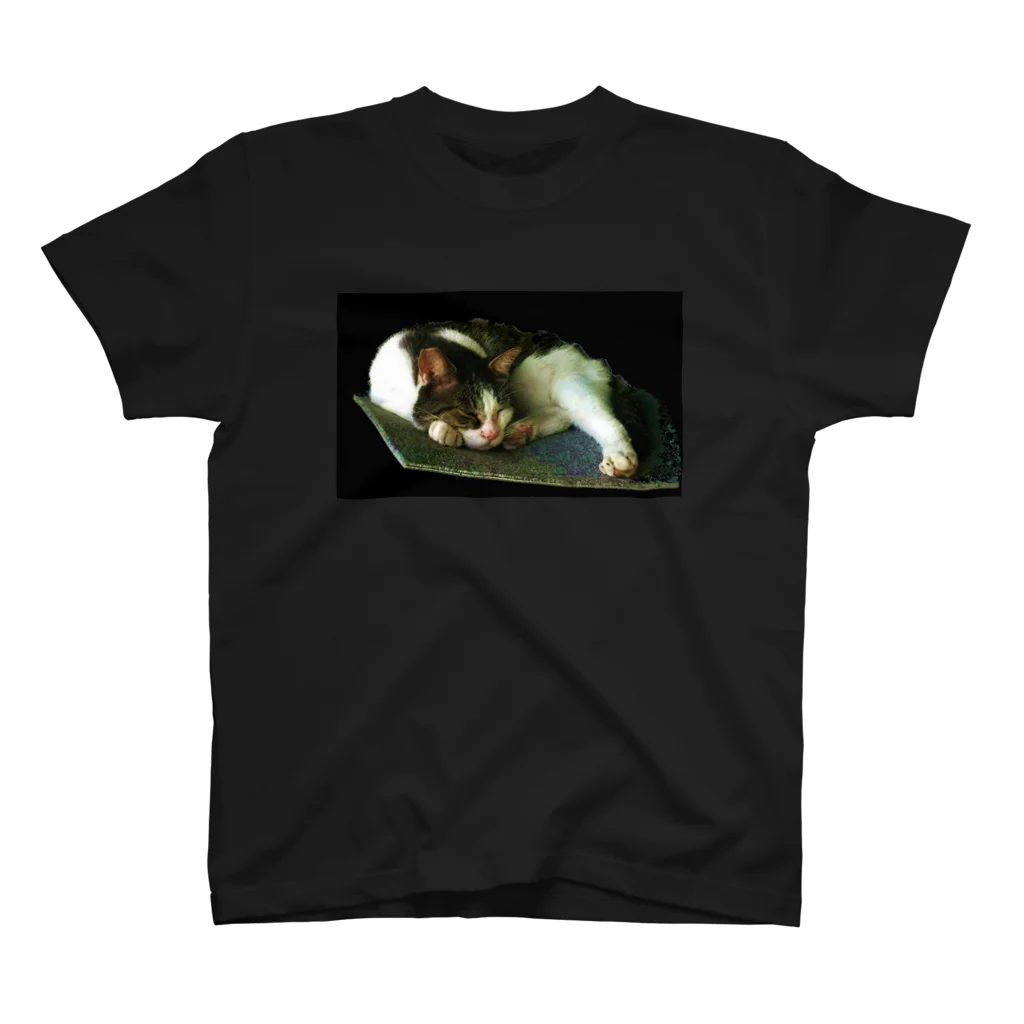 agiのA cat in the dark Regular Fit T-Shirt