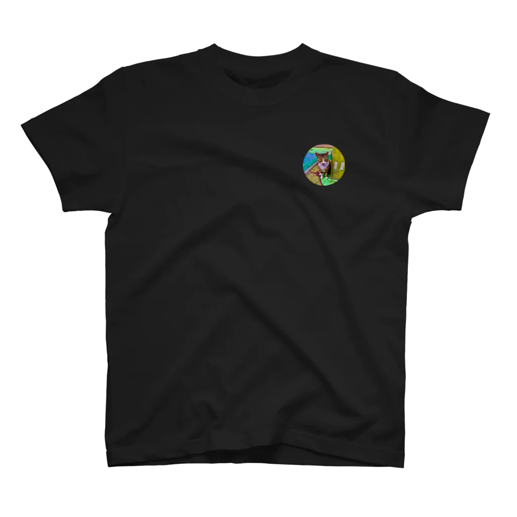 にゃっく -NecoKnickKnack-の空降街猫 Regular Fit T-Shirt