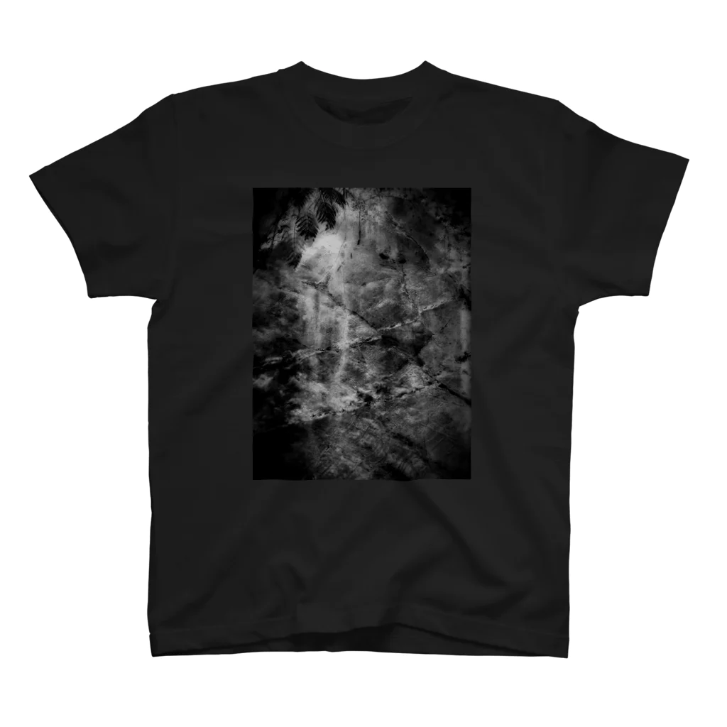 余白/yohakuのArtwork#1 岩肌-monochrome- スタンダードTシャツ