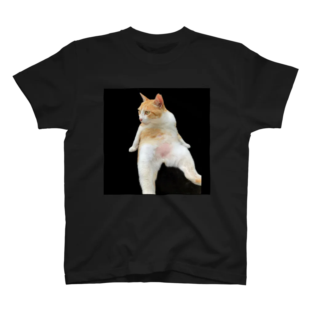 きんじょののらねこのきんじょののらねこ Regular Fit T-Shirt