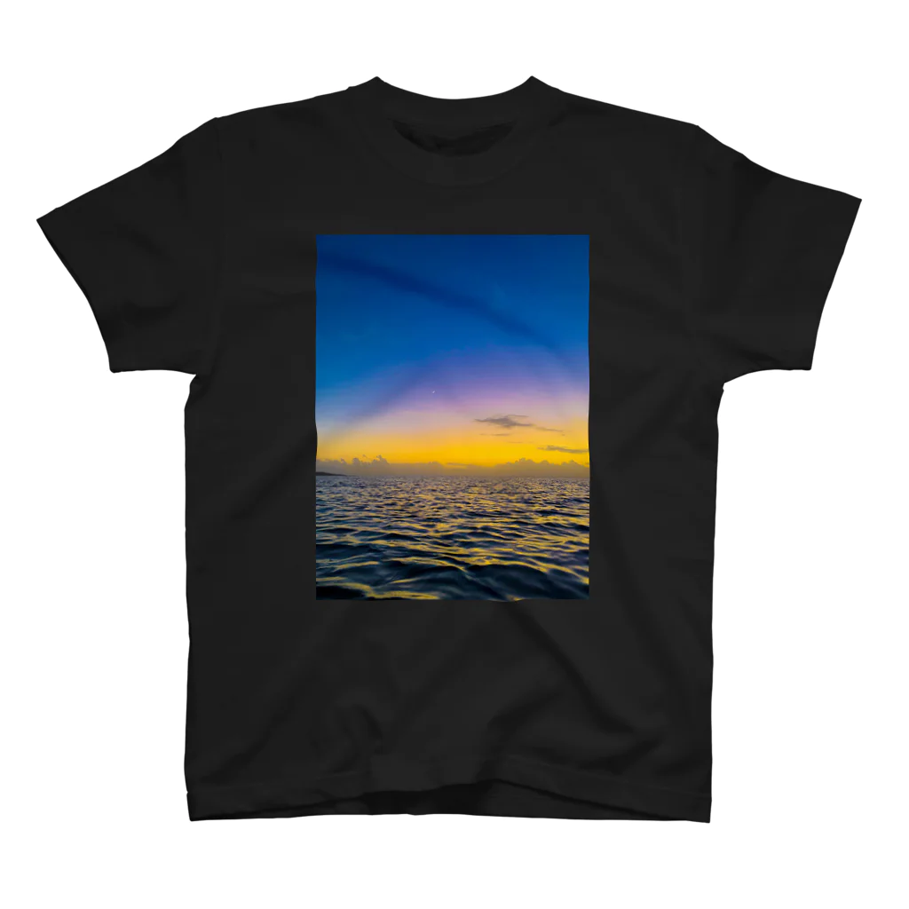 mizuphoto galleryのNight to the crescent moon スタンダードTシャツ