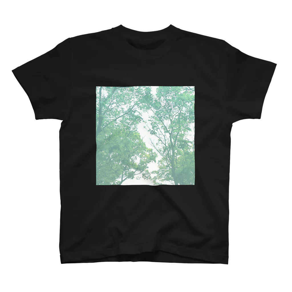 otoyaの木漏れ日 Regular Fit T-Shirt
