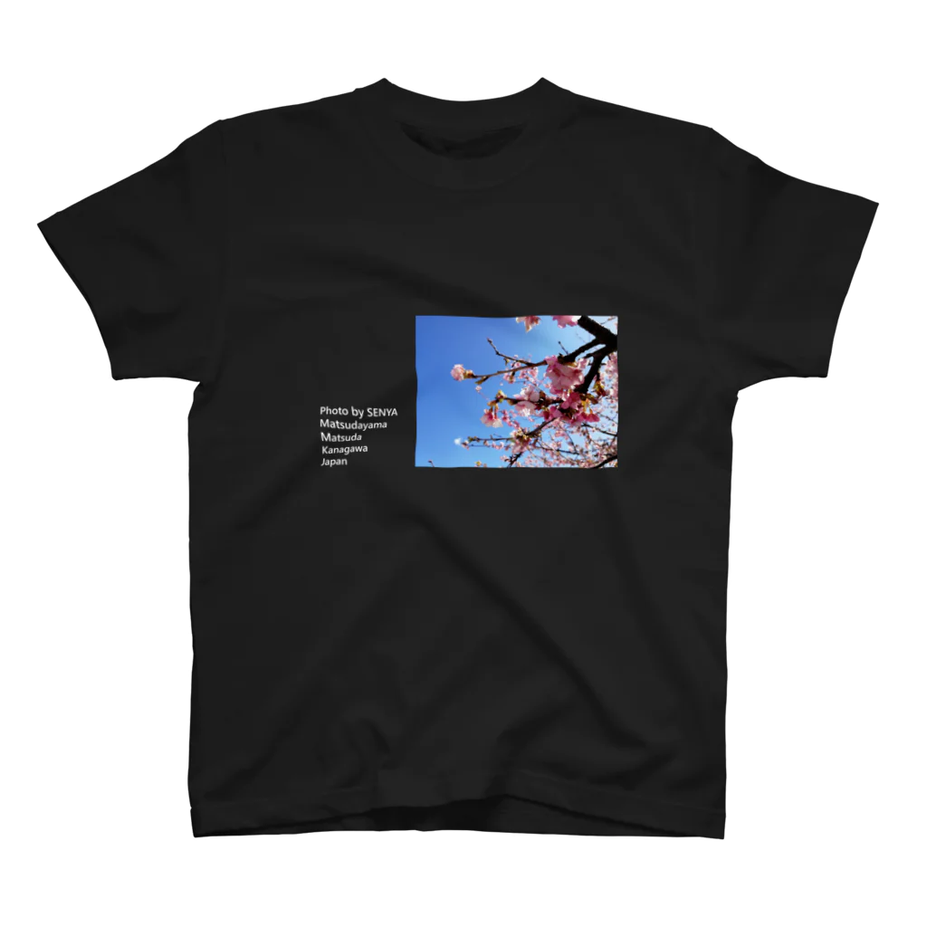 千弥 SENYAのSeasons_sakura スタンダードTシャツ