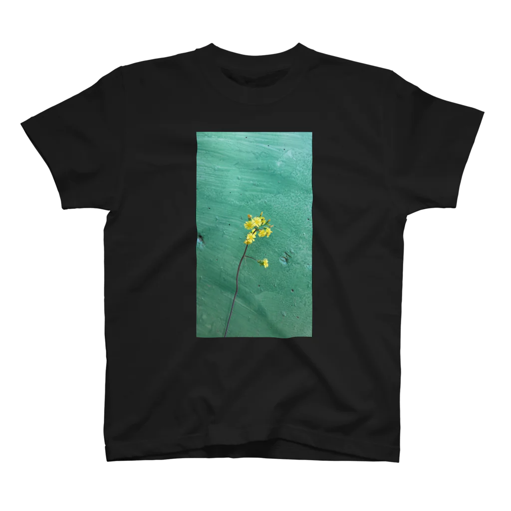 花畑写真館🌷の#5 みどりの壁と黄色いお花 Regular Fit T-Shirt