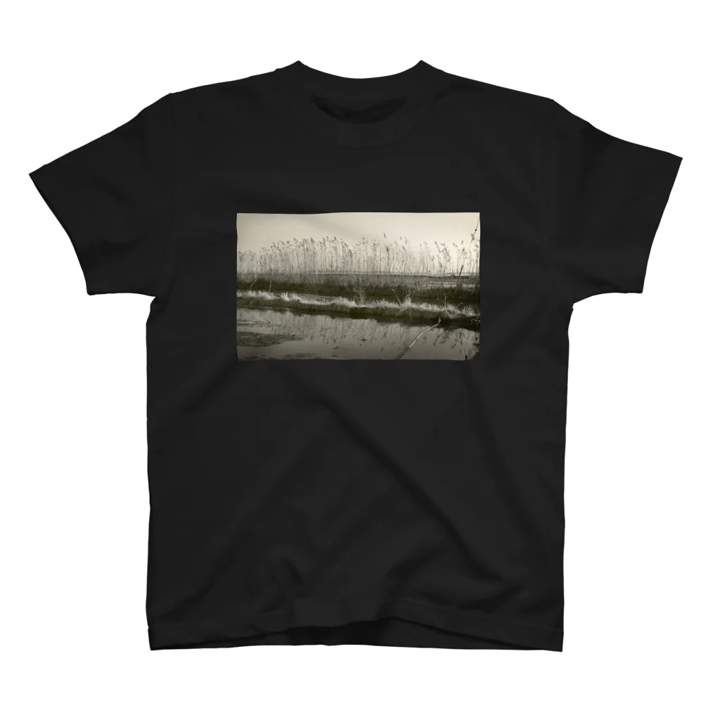 tsubaki_manamiのKASUMIGAURA Regular Fit T-Shirt