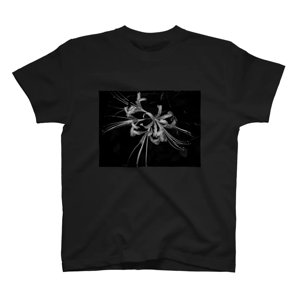 光景（仮）の彼岸花　白 スタンダードTシャツ