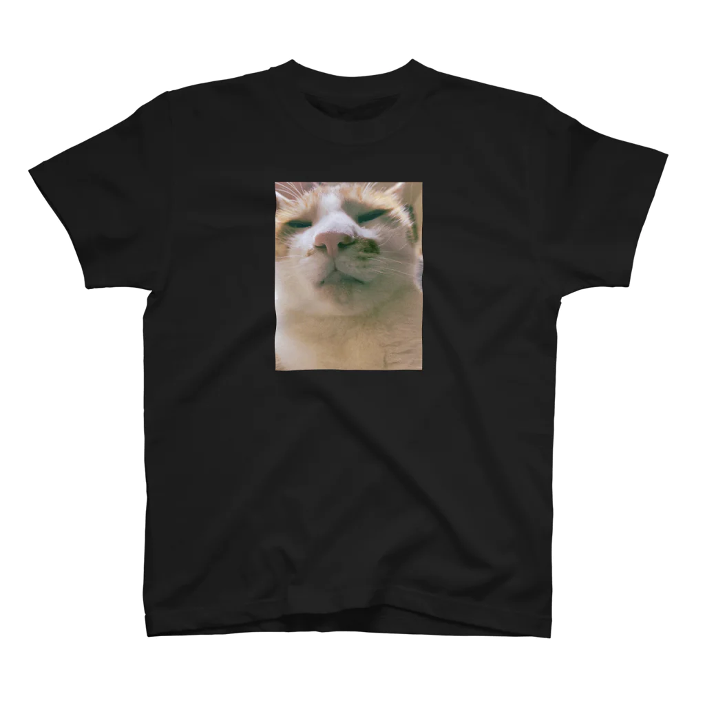 ★社不シスターズ★のうちのふてぶてしいねこ Regular Fit T-Shirt