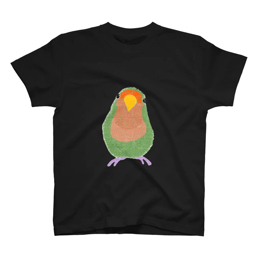 鳥の巣のコザクラインコのスイカ君 スタンダードTシャツ