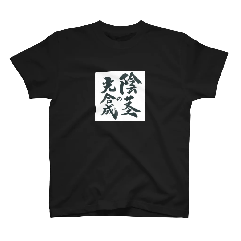 性知派のアダルT（い） Regular Fit T-Shirt