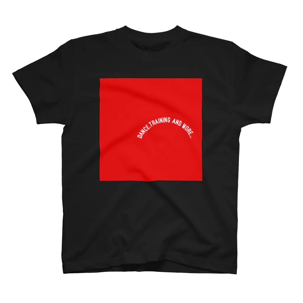 SDC Clothing StoreのA-ch Basic Tshirts スタンダードTシャツ