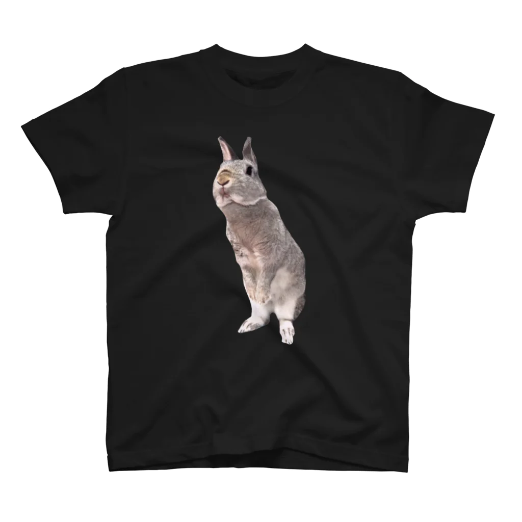 いきもの大好き！ほほえみフレンズのウサギさんのおすましポーズ Regular Fit T-Shirt