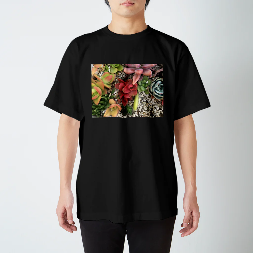 TANIKU-WANのたっぷりプリント3300front スタンダードTシャツ