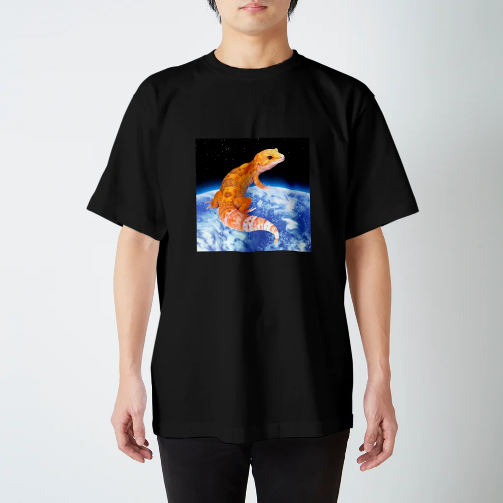 モモンガのしっぽのLeopa on the Earth スタンダードTシャツ