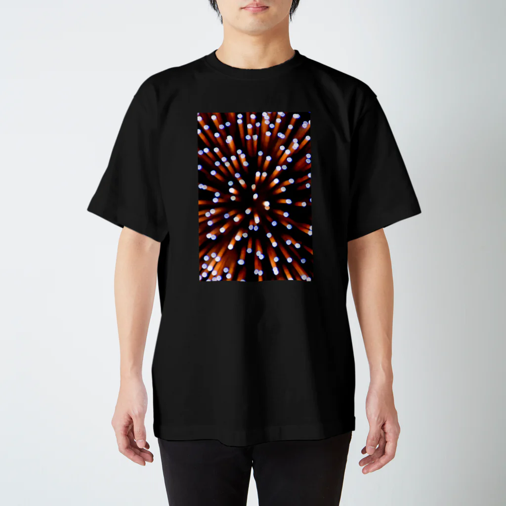 一瞬の花火の開く花火の世界 Regular Fit T-Shirt