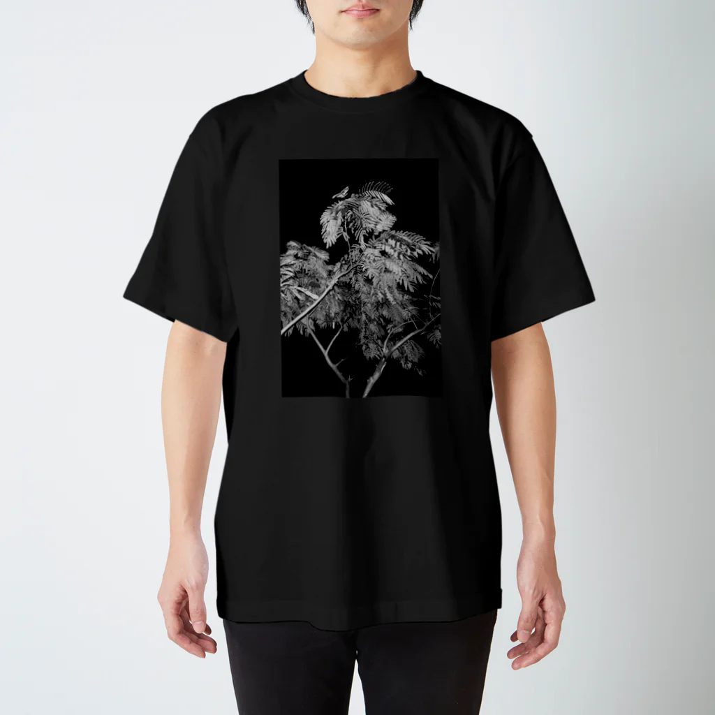 Gallery Hommageのnight スタンダードTシャツ