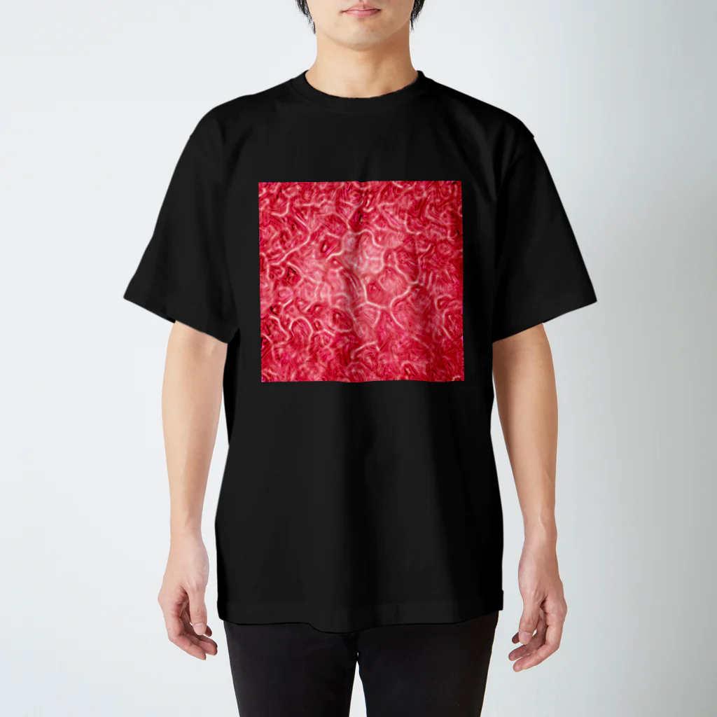 ippei kimura(展示中)の心臓グッズ スタンダードTシャツ