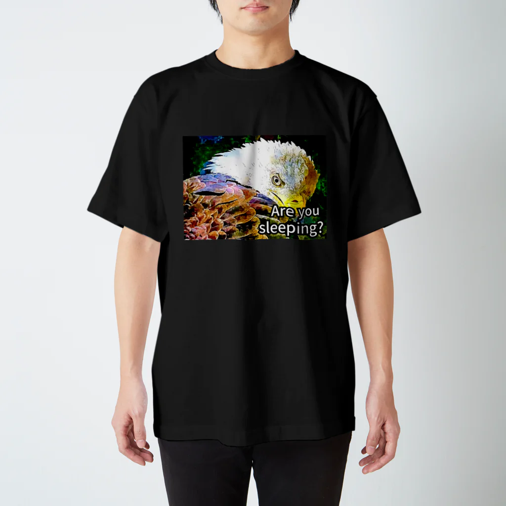 EagleeyeのEagleeye おい、寝てんのか？ スタンダードTシャツ