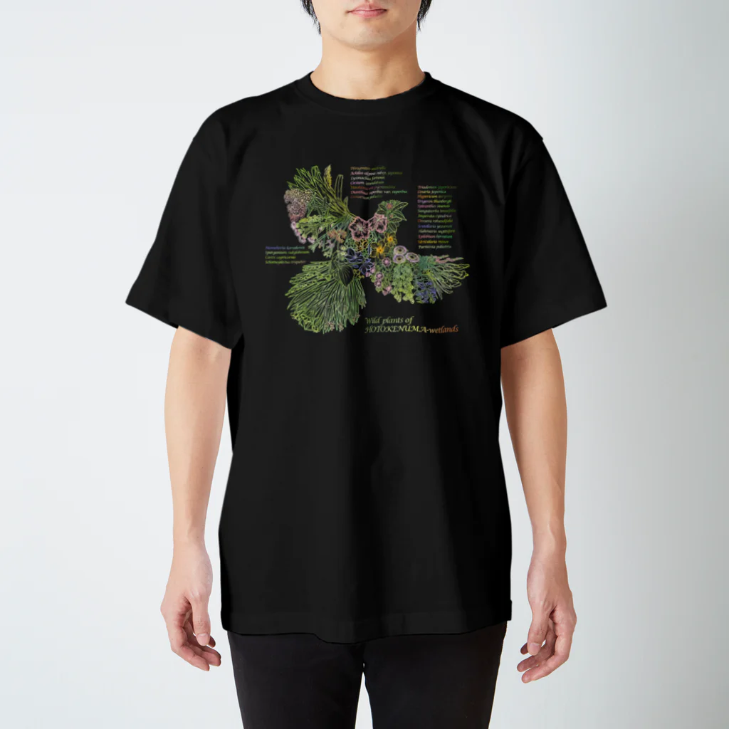 雁花工房（寄付アイテム販売中です）のWild plants of HOTOKENUMA-wetlands（色付き） スタンダードTシャツ