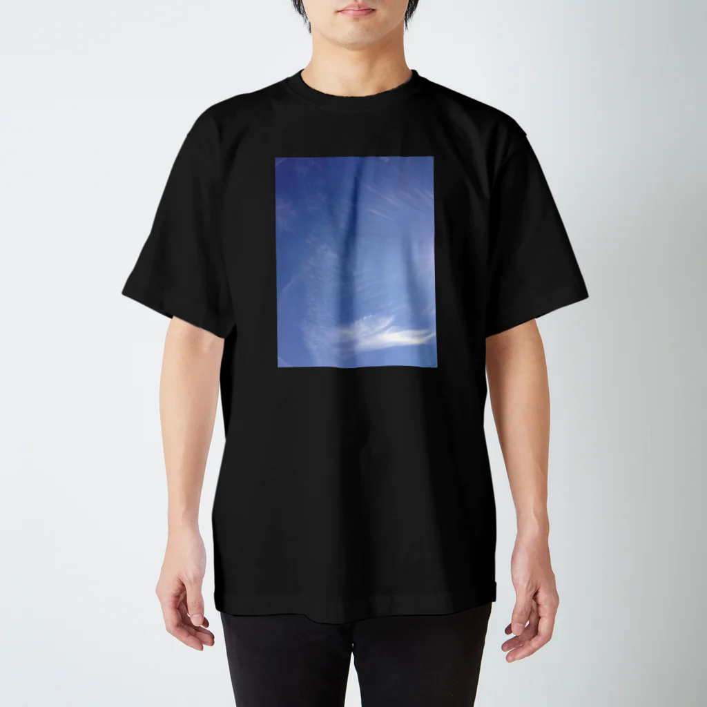 たばすこあまがえるのJumping Whale【空のことば】 Regular Fit T-Shirt