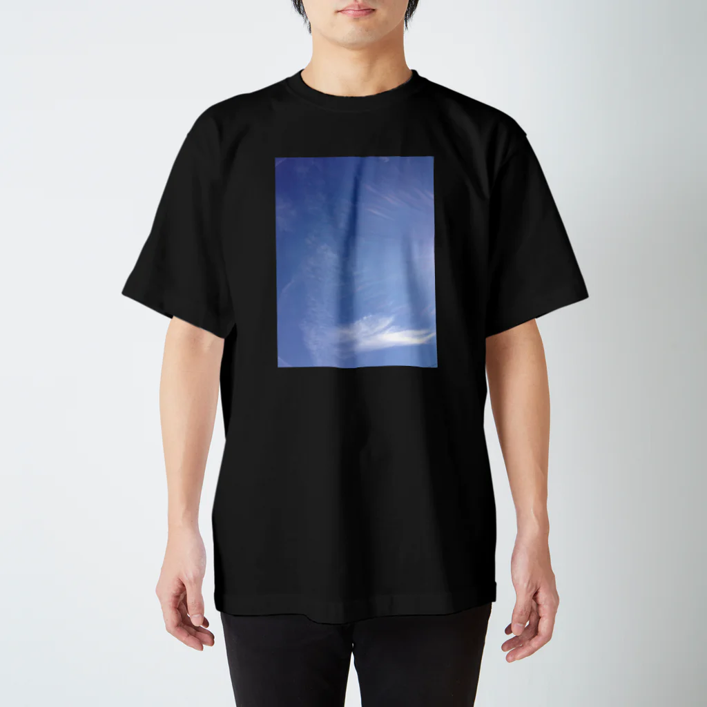 たばすこあまがえるのJumping Whale【空のことば】 スタンダードTシャツ