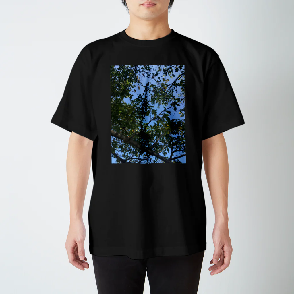 NEKOのその辺の自然に生えてる木 スタンダードTシャツ