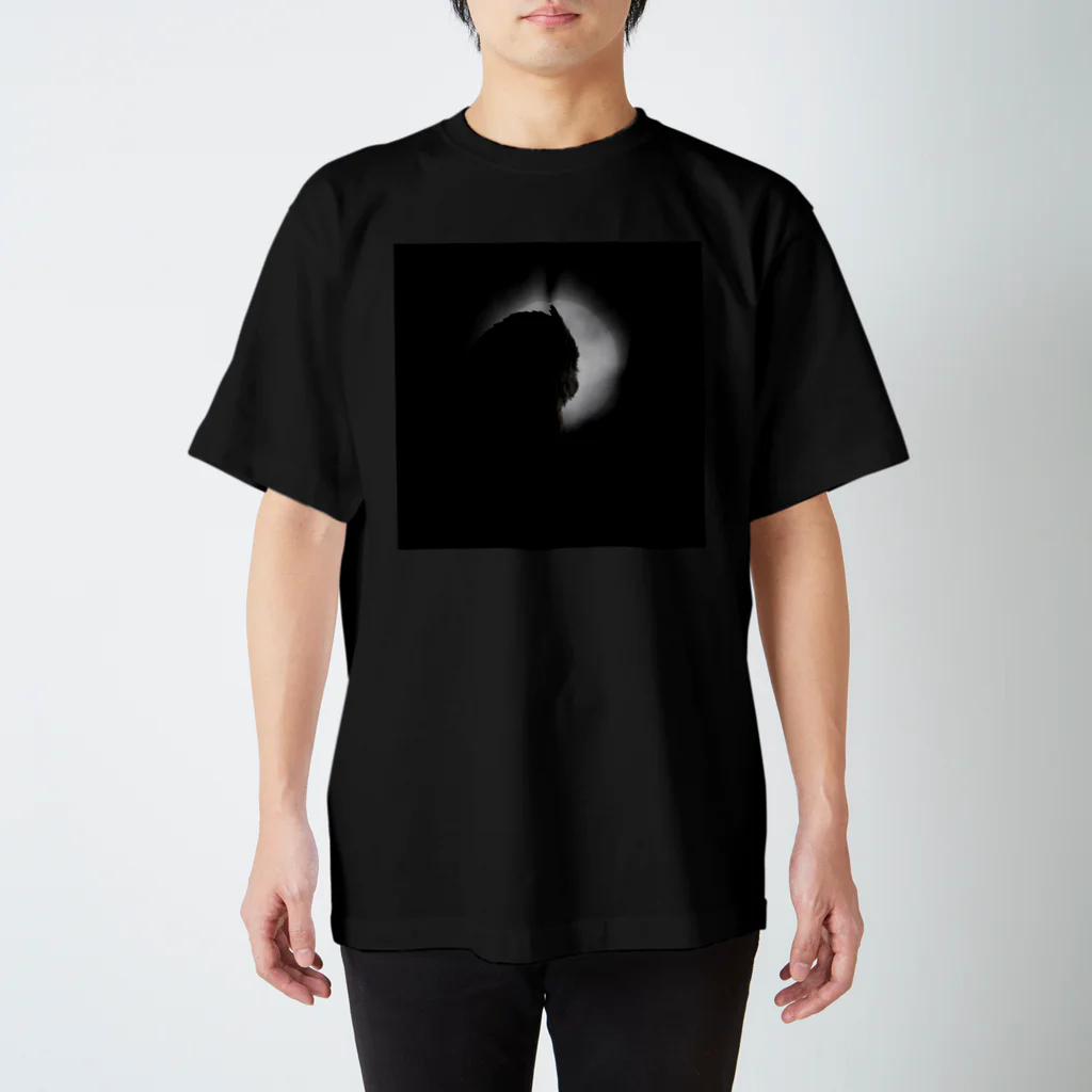 座敷ふくろうのふくろうと月 Regular Fit T-Shirt