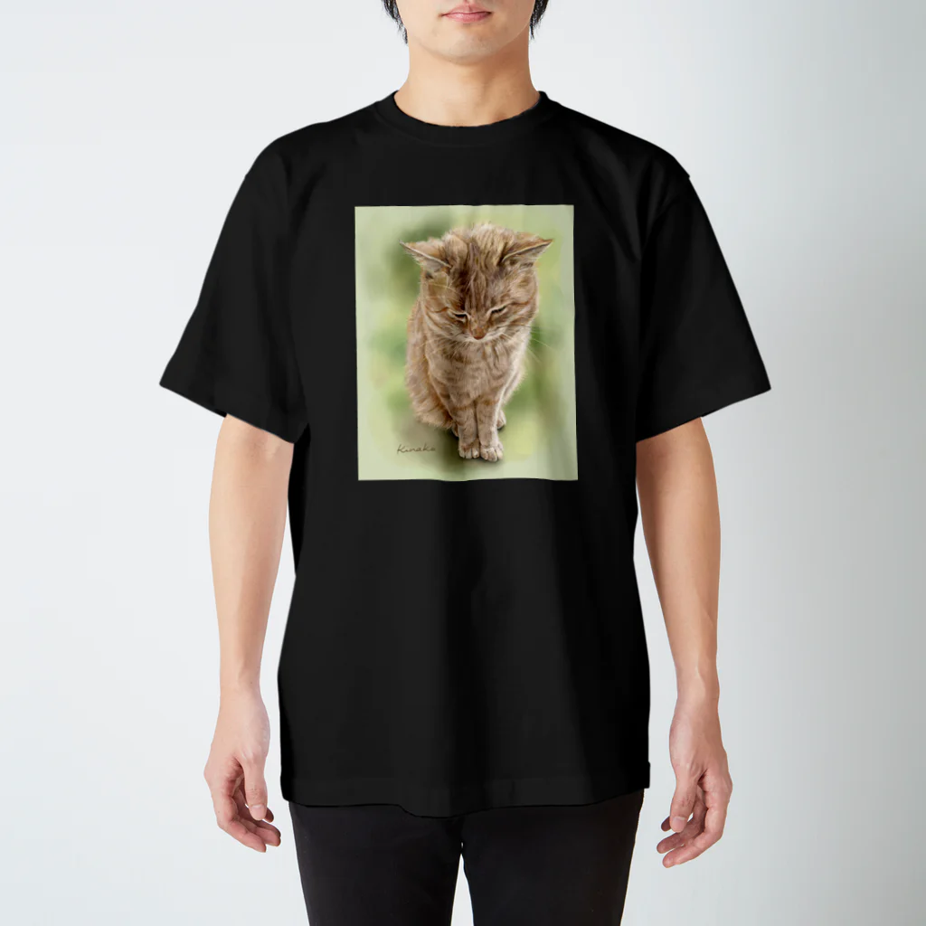 kinako-japanのうたた寝 スタンダードTシャツ