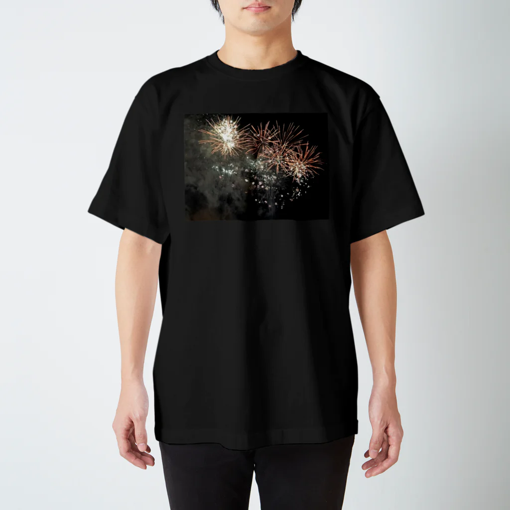 空屋　sorayakusakaの201908171919020　賑やかな連発 スタンダードTシャツ