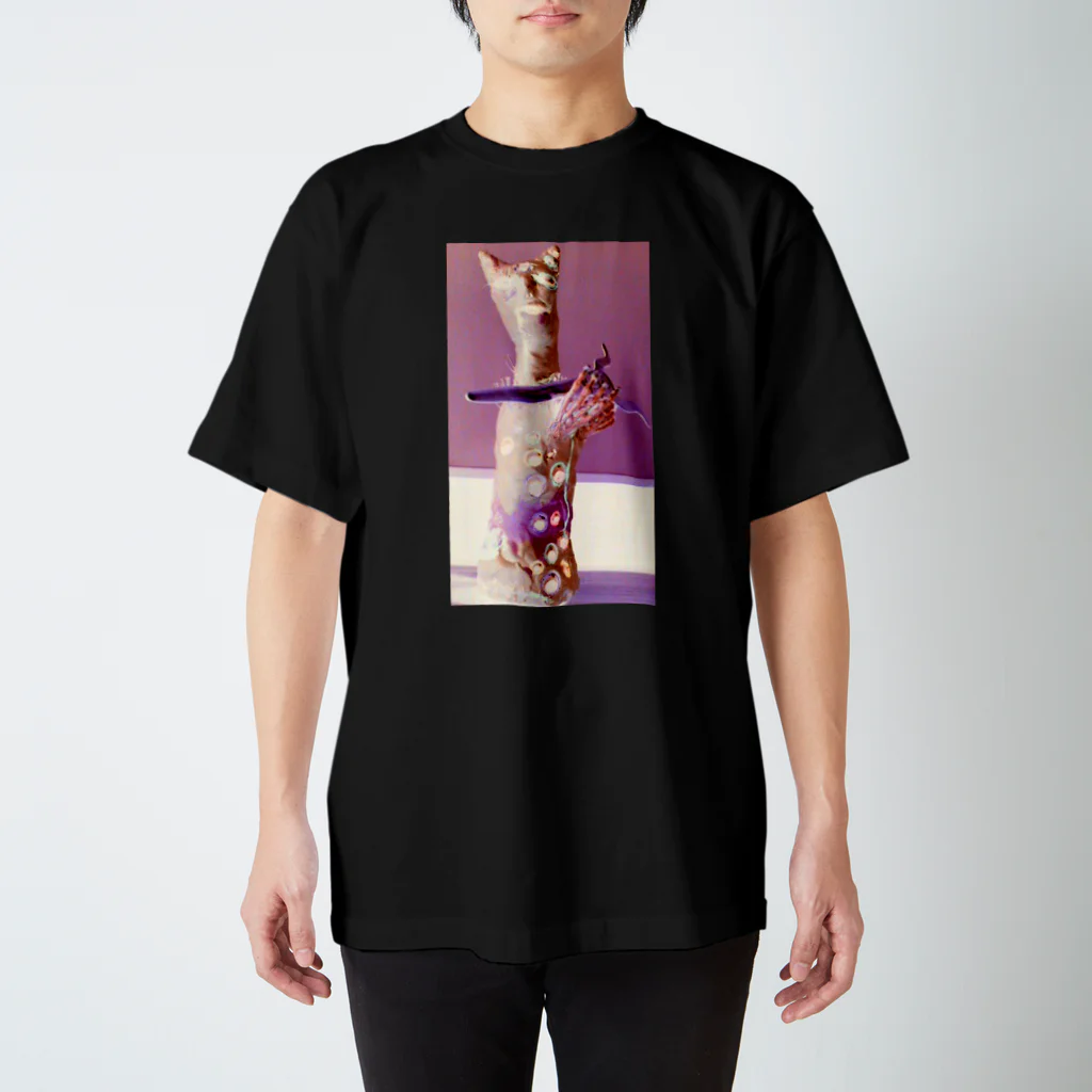 卍鮭＾ゑ＾鮭卍の五月病人形 Regular Fit T-Shirt