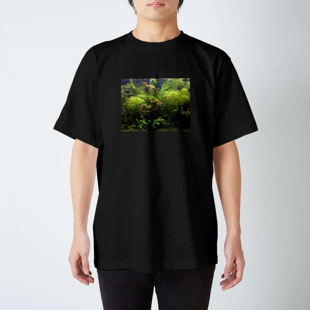 fazerの水景 Regular Fit T-Shirt