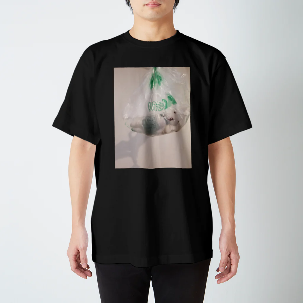 太郎のぬいぐるみハイターの刑 スタンダードTシャツ