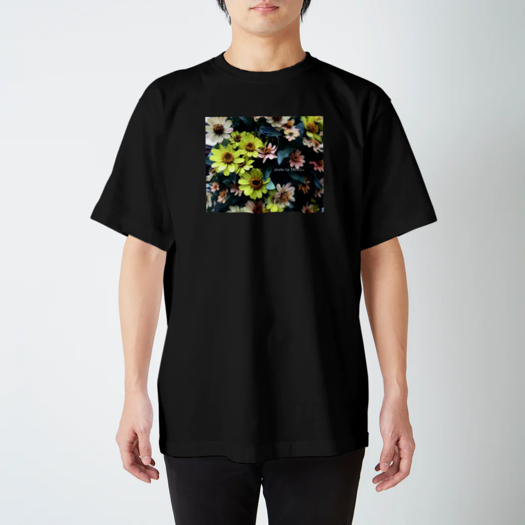 KAOKO.sのTシャツ スタンダードTシャツ