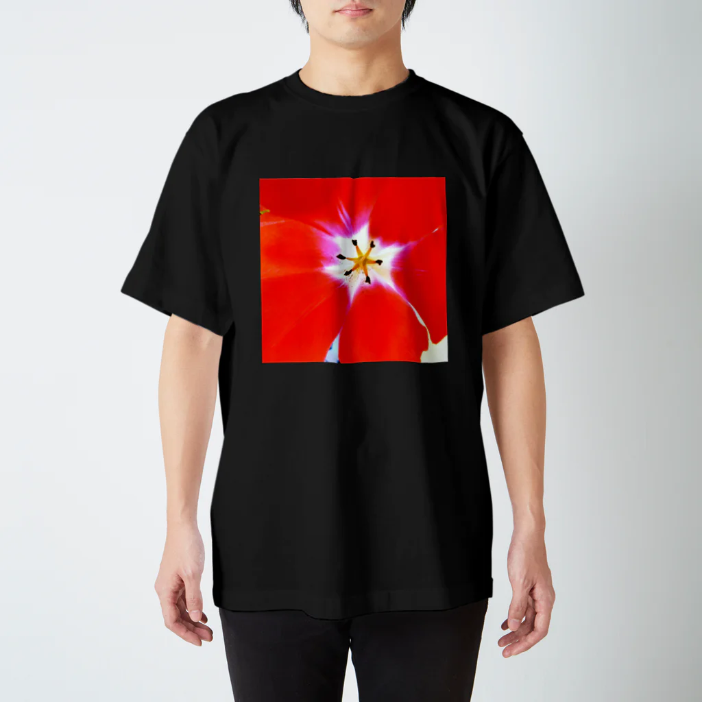 Yasuko Masuda ますだやすこのチューリップR スタンダードTシャツ