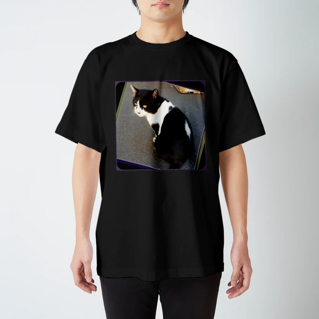 虹石屋の漁港の猫 Regular Fit T-Shirt