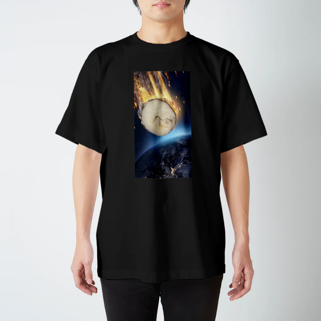 うさぎしんどろーむのふぶ隕石 フェレット Regular Fit T-Shirt