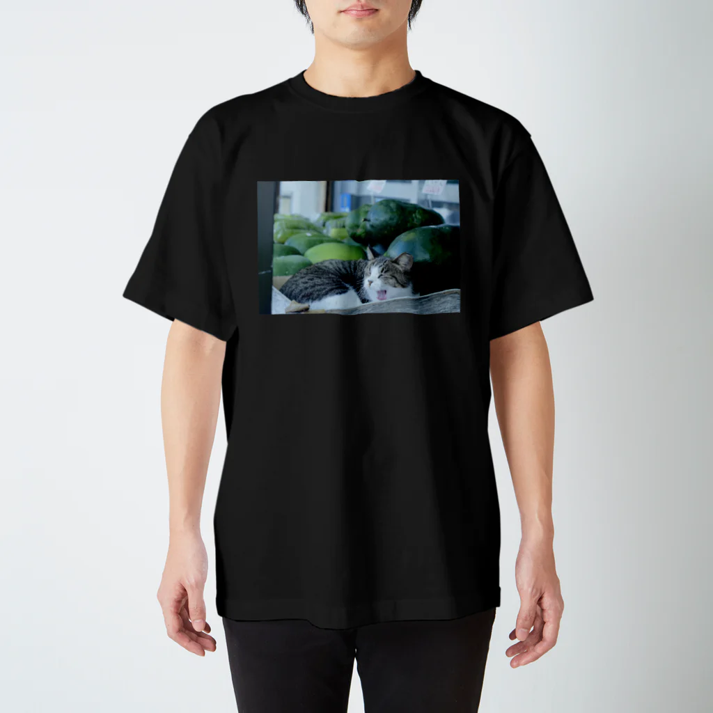 きゃんかぬの商店ご本尊T Regular Fit T-Shirt