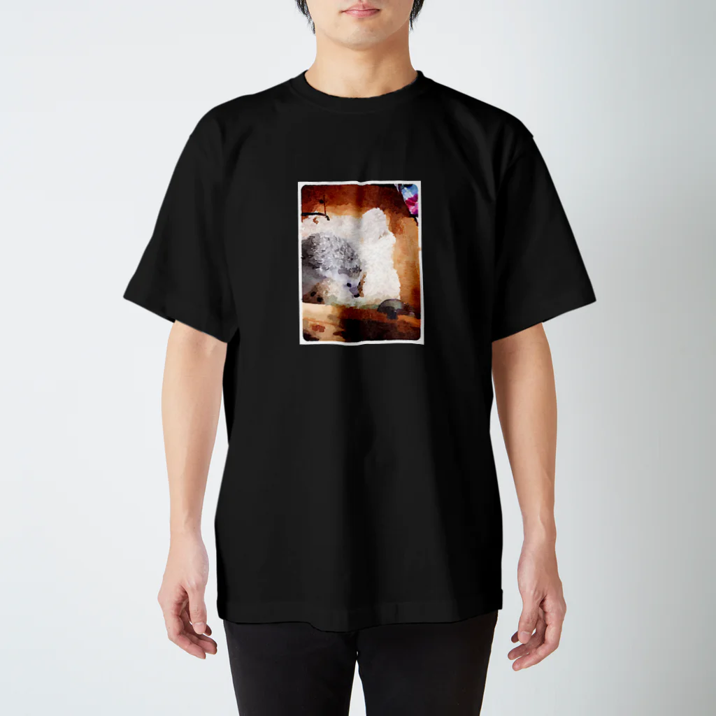 日本巨乳協会のクリとたわし スタンダードTシャツ