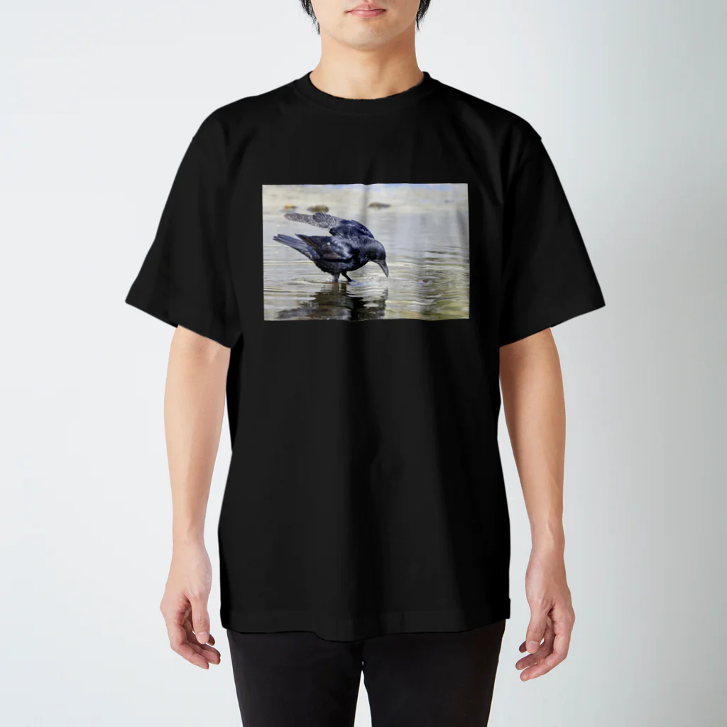 怪人カラス男の水辺のカラス Regular Fit T-Shirt